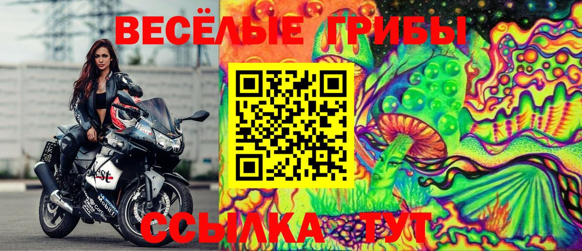 Псилоцибиновые грибы Magic Shrooms  Вход с VPN  Ростов-на-Дону  Псилоцибиновые грибы прущие грибы 